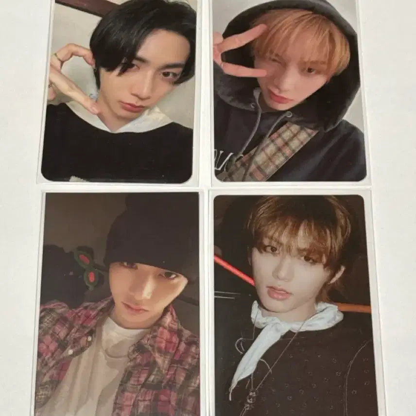 보이넥스트도어 태산 포카 일괄