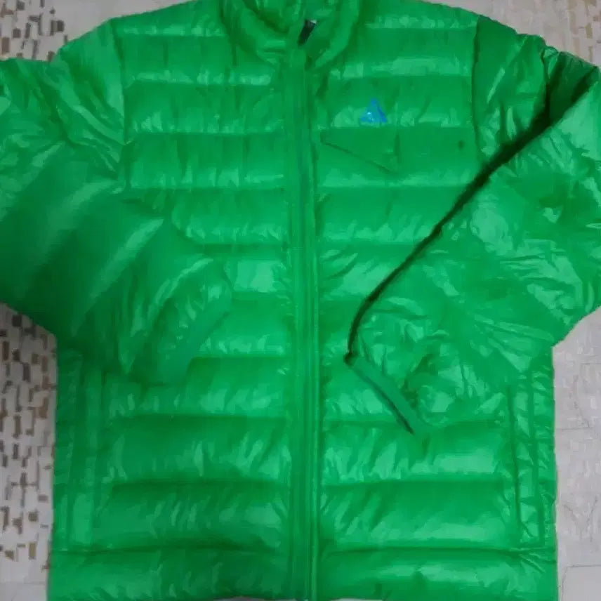 [BUNJANG] Nike ACG Green Goose Down Lightweight Padded Jacket / 나이키 ACG 그린 구스 다운 경량 패딩 S