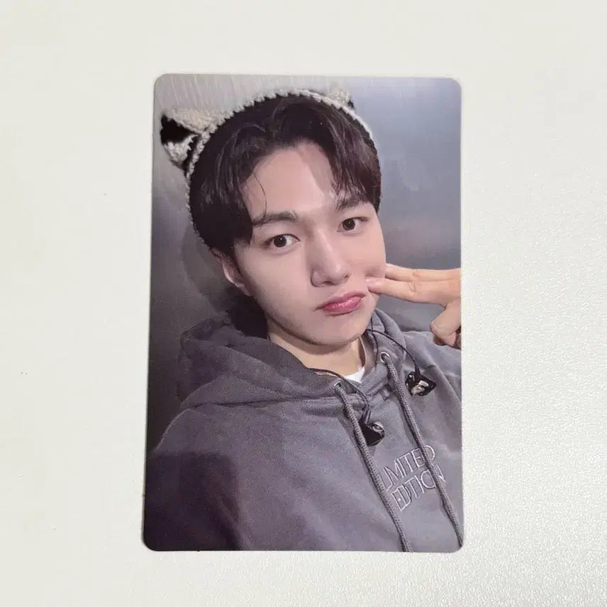 인피니트 엘 김명수 포카 미공포 공방포카 공방 모찌피스