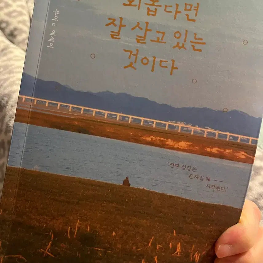 [BUNJANG] Bu-a C Essay / 부아C 에세이 외롭다면 잘 살고 있는 것이다
