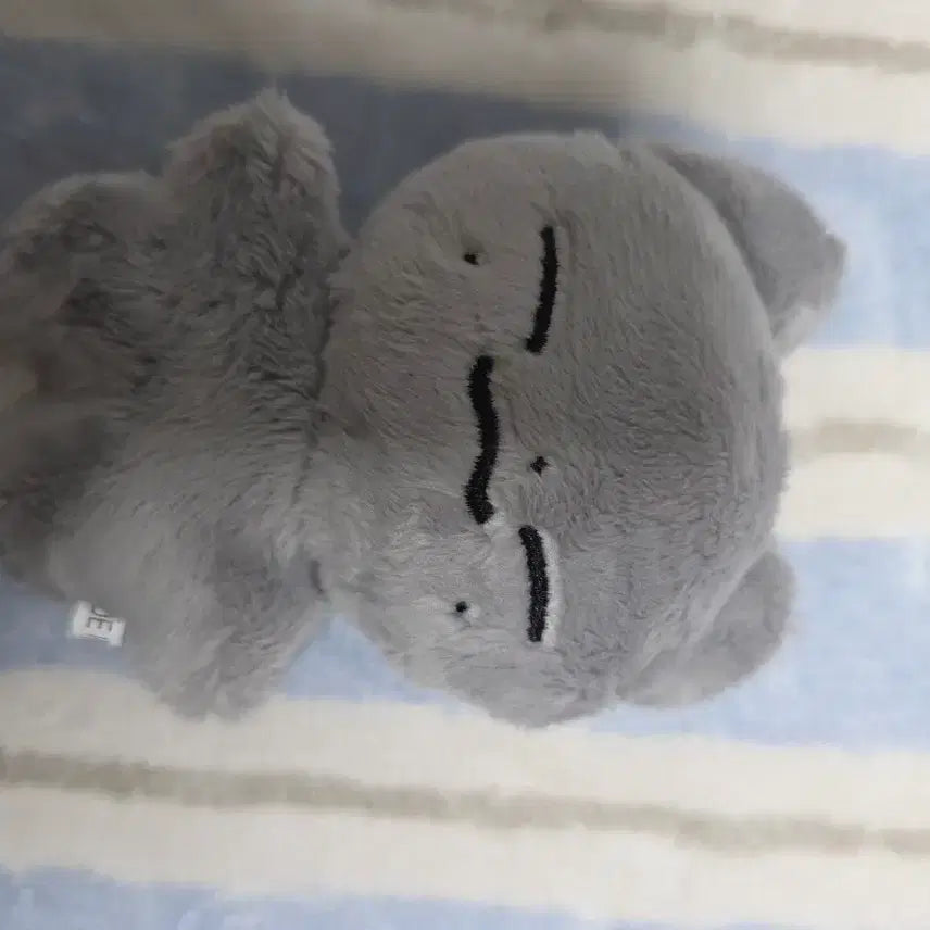 온앤오프 민균 박민균 인형