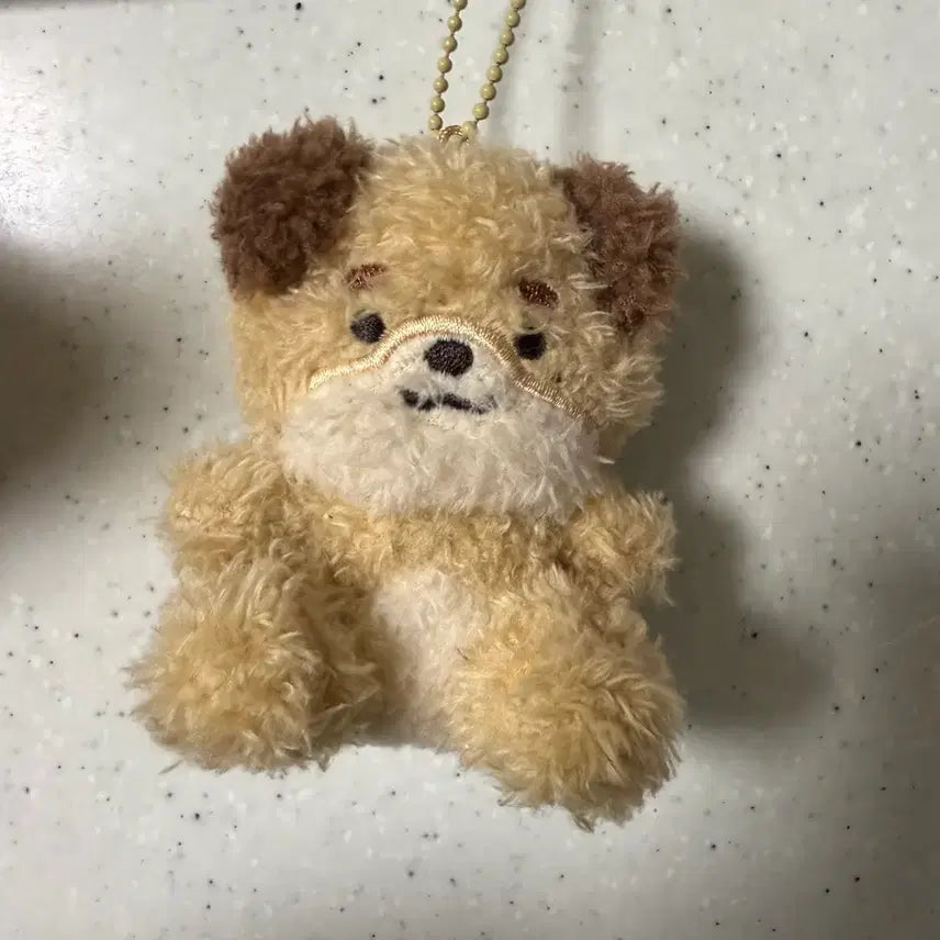 데니멀즈 앉은돈