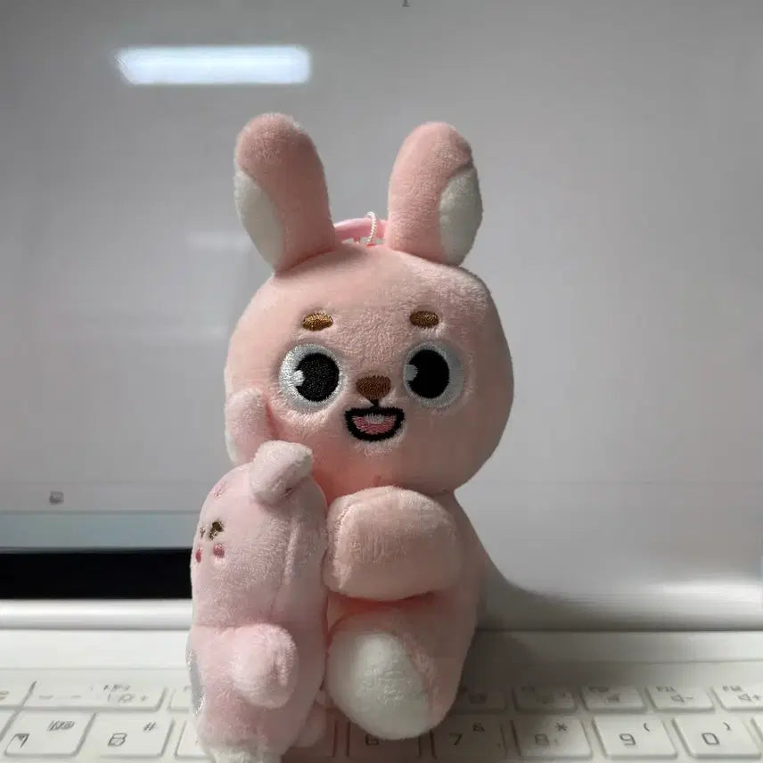 데니멀즈 나안아 필