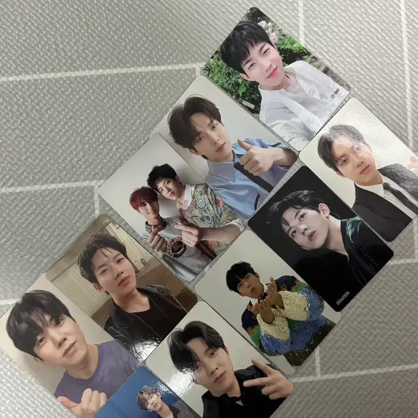 데이식스 도운 포카 일괄