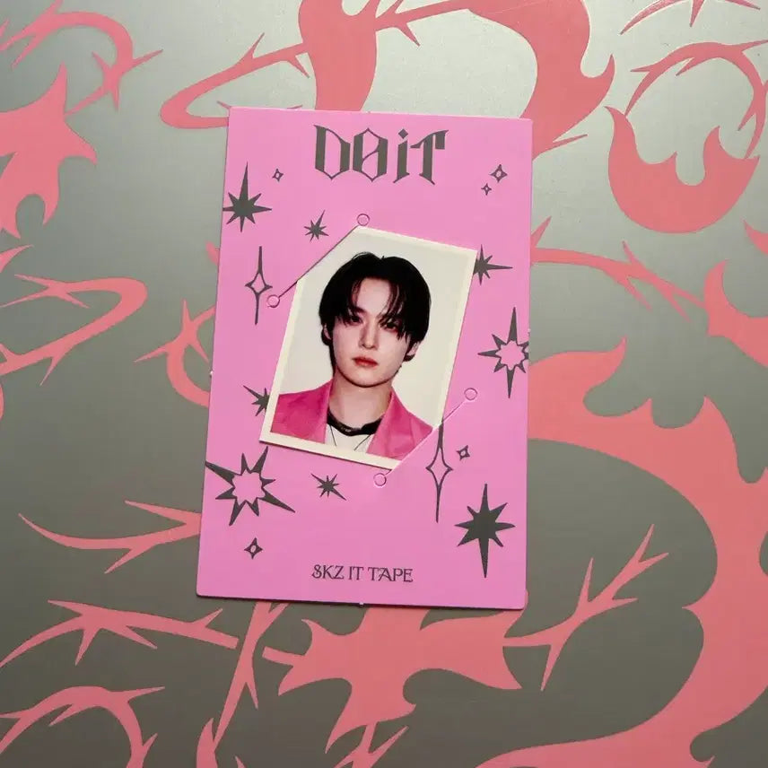 스트레이 키즈 두잇 아코디언 증사 리노