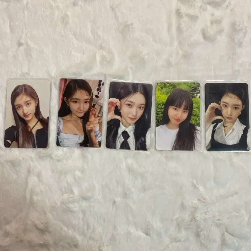 아이브포카 일괄판매합니다.