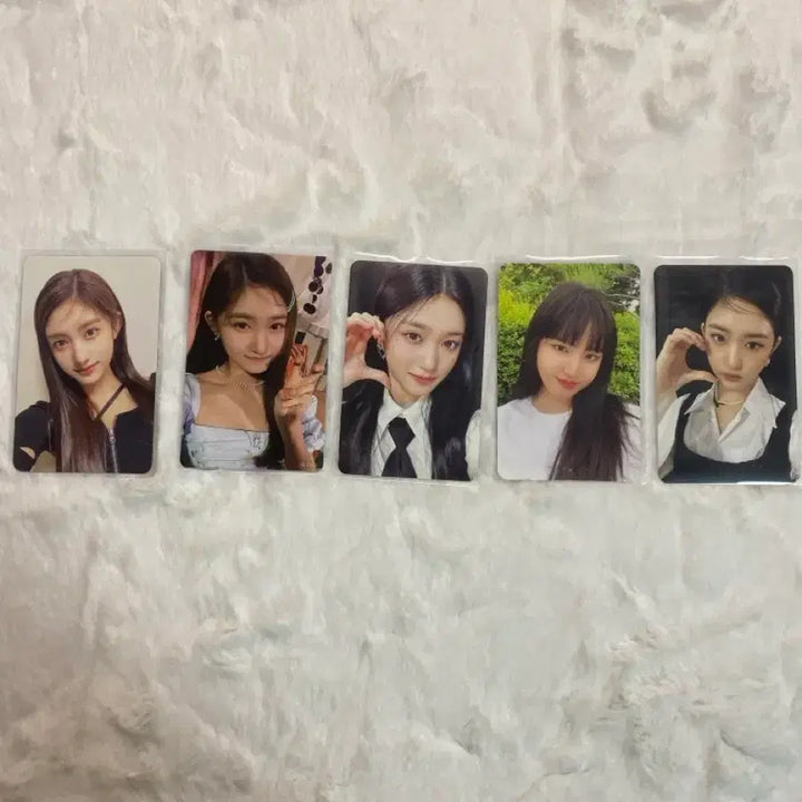 아이브포카 일괄판매합니다.