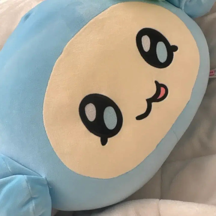 튜요&포카 판매 합니다!