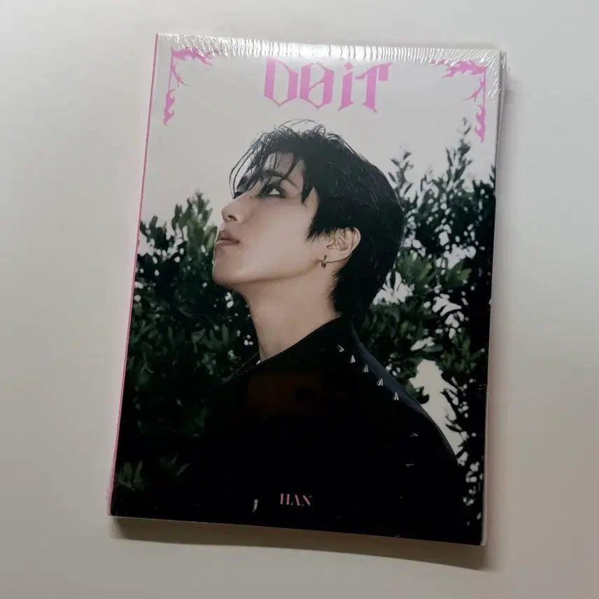 스트레이키즈 DO IT 프리오더 아코디언 한 미개봉