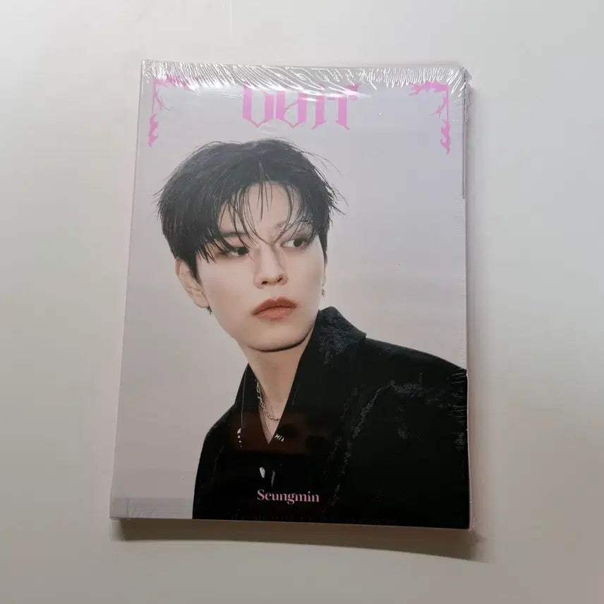 스트레이키즈 DO IT 프리오더 아코디언 승민 미개봉