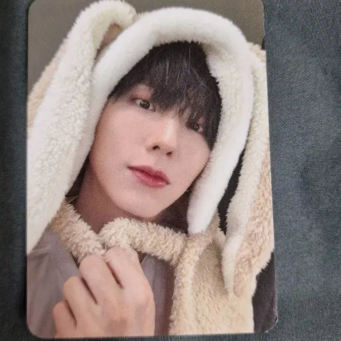 몬스타엑스 헬로라이브 토끼담요 포카 기현 미공포