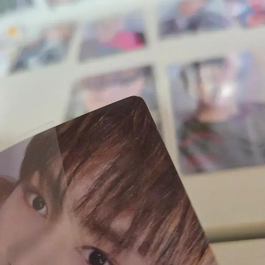 세븐틴 2019 시그 포카 12명 판매