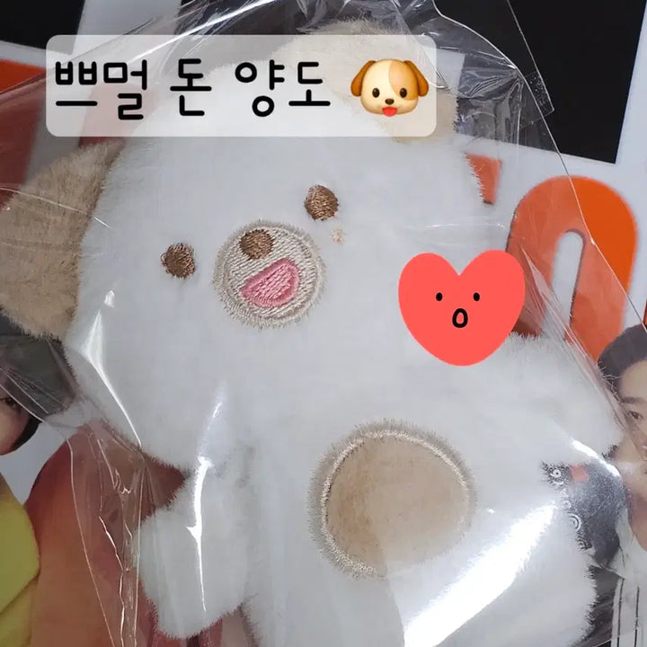 데이식스 DAY6 쁘띠멀즈 쁘멀 돈