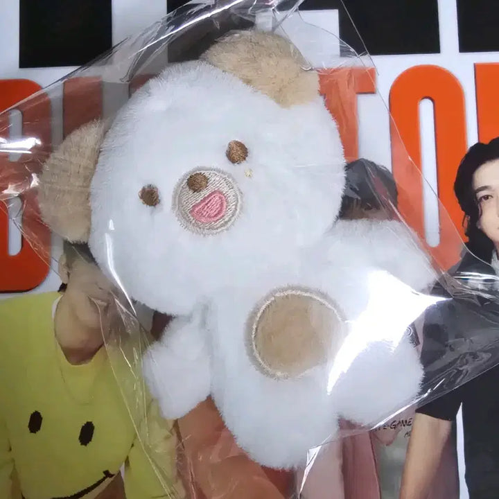 데이식스 DAY6 쁘띠멀즈 쁘멀 돈