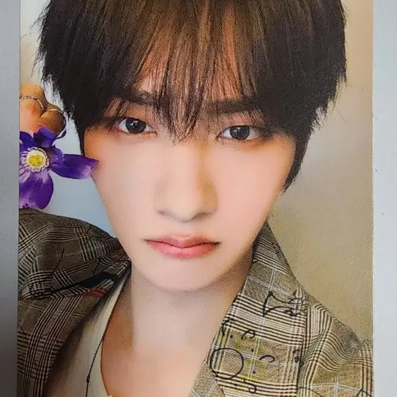 이펙스 제프 제니스 4기 포카