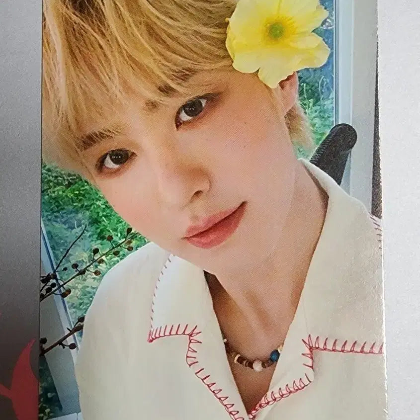 이펙스 에이든 제니스 4기 포카