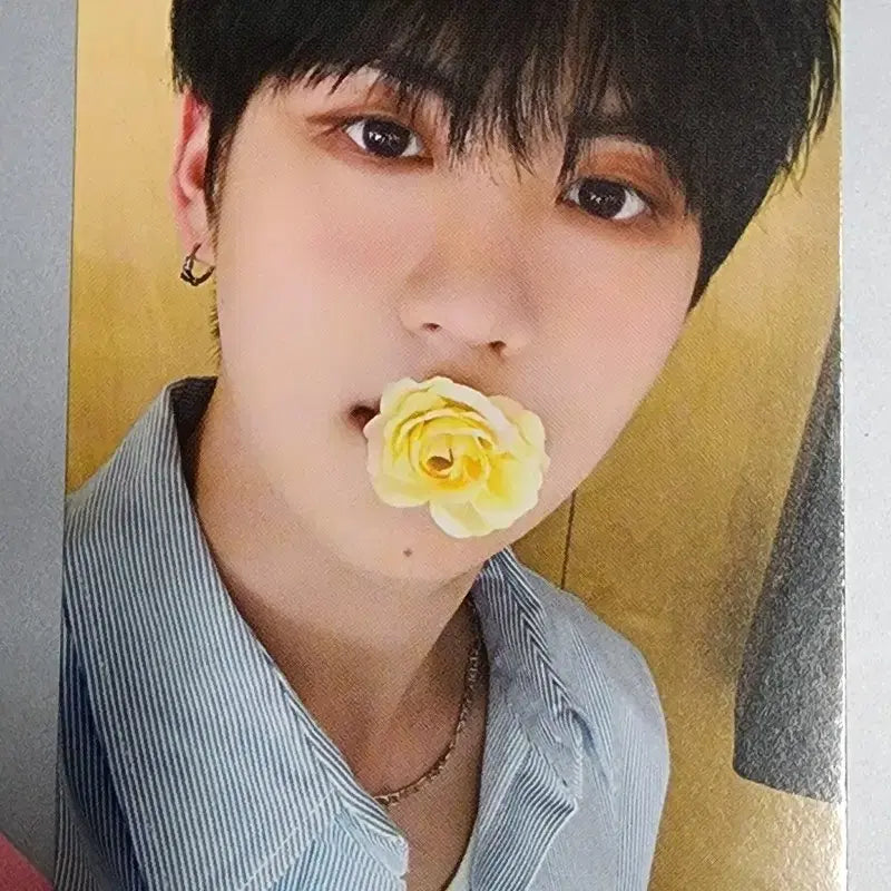 이펙스 예왕 제니스 4기 포카