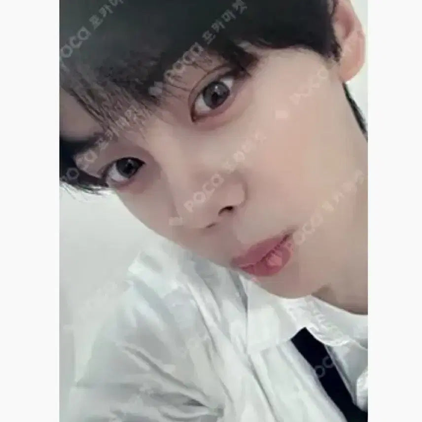 제베원 아육대 역조공 공방 포카 김규빈 규빈