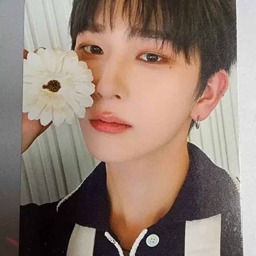 이펙스 백승 제니스 4기 포카