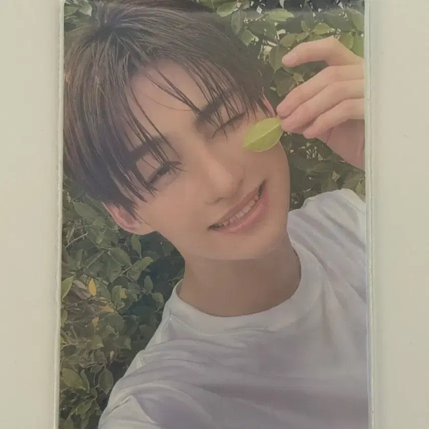 투어스 포카 지훈