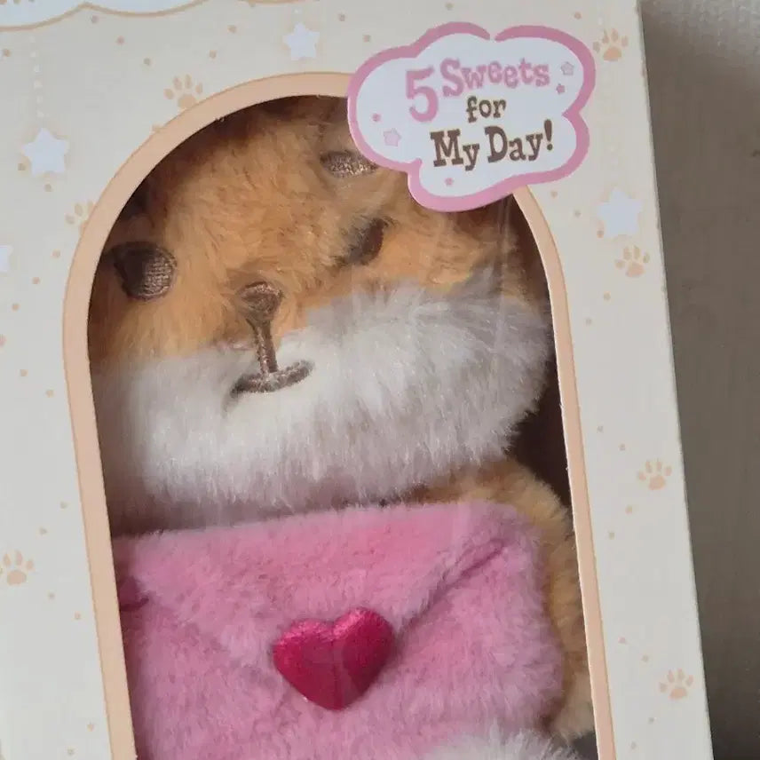 데이식스 영케이 쁘띠멀즈 보이스 케