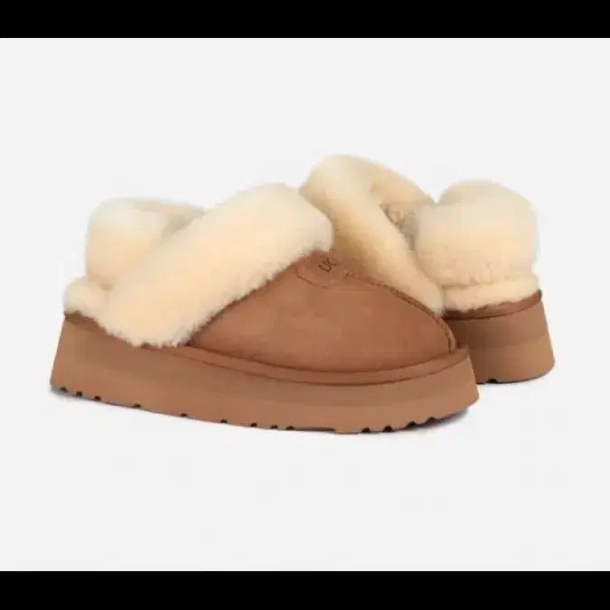 [BUNJANG] UGG Australia Chestnut Sheepskin Firstwrap Slippers (235) / 정품(새상품)/호주 어그 천연양모 퍼스트랩 체스트넛 슬리퍼(235)