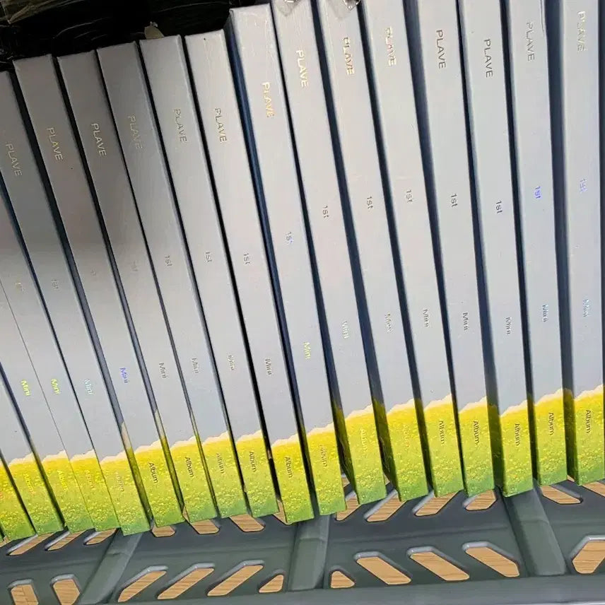 플레이브 육여름개봉앨범