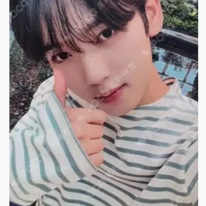 제배원 1집 점프업 디비팩 특전 한유진 미공포 포카 양도해요