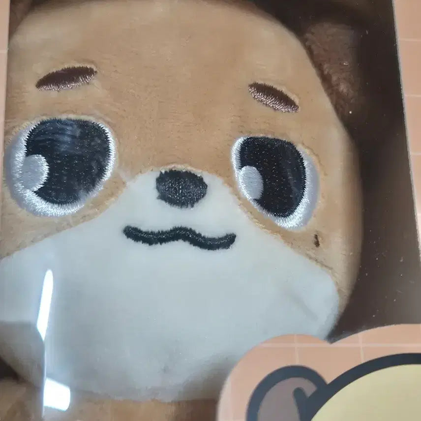 데이식스 데니멀즈 24돈 도운