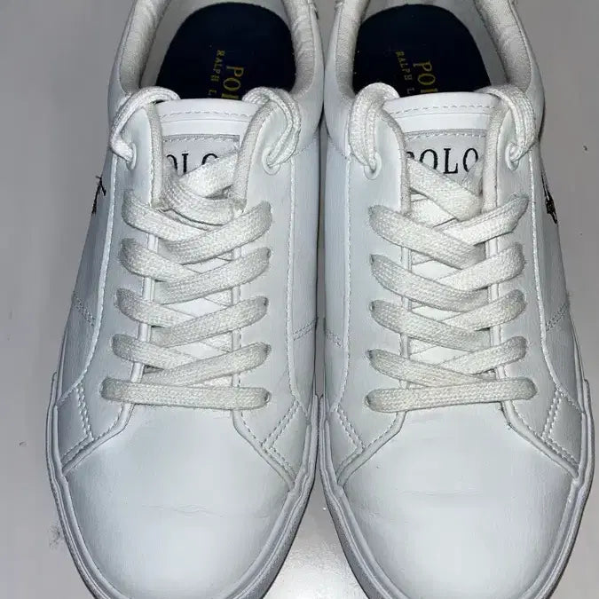 [BUNJANG] Polo Edgewood Sneakers / 폴로 엣지우드 스니커즈