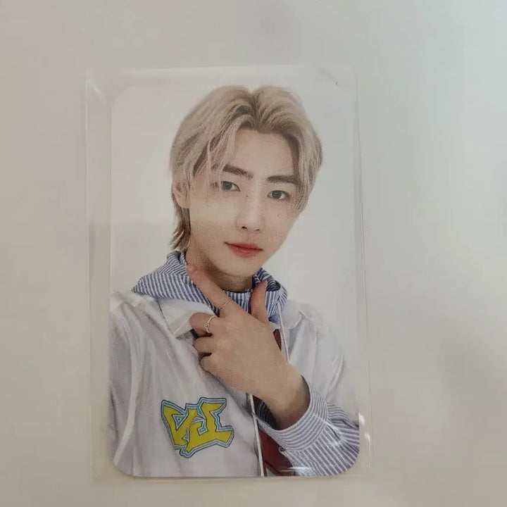 엔하이픈 성훈 매니페스토 포카