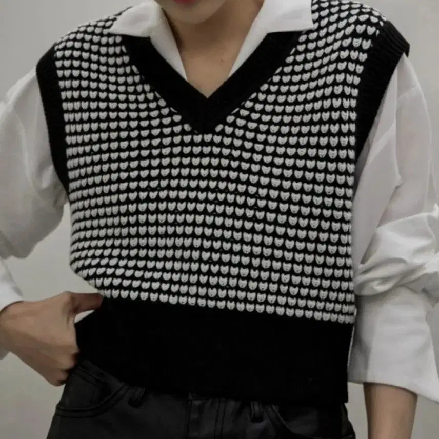 [BUNJANG] NAIN Pattern Crop Knit Vest / NAIN 패턴 크롭 니트 조끼
