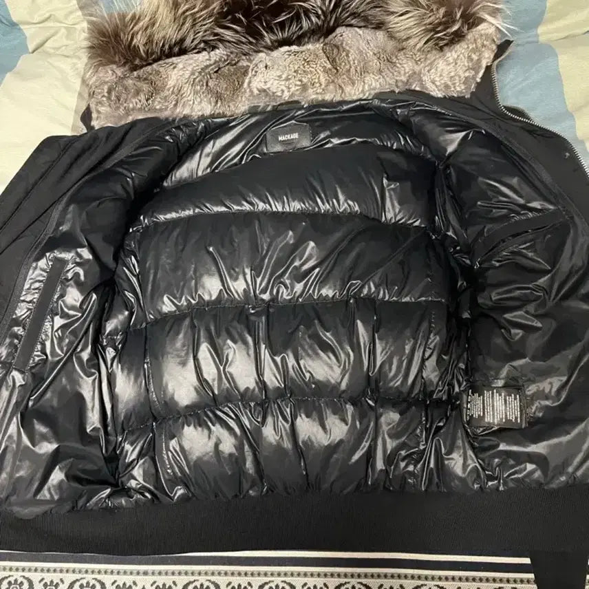 [BUNJANG] Dickson Silverfur 40 Photocard / 맥케이지 딕슨 실버퍼 40