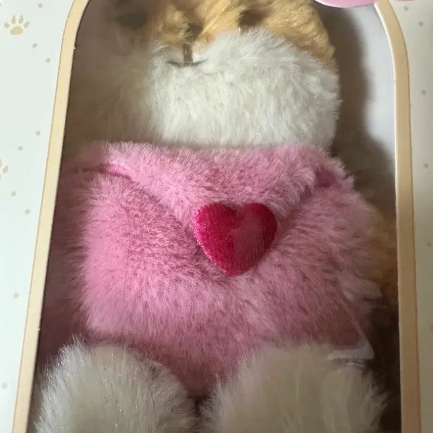 데이식스 쁘띠멀즈 플러시 보이스 케