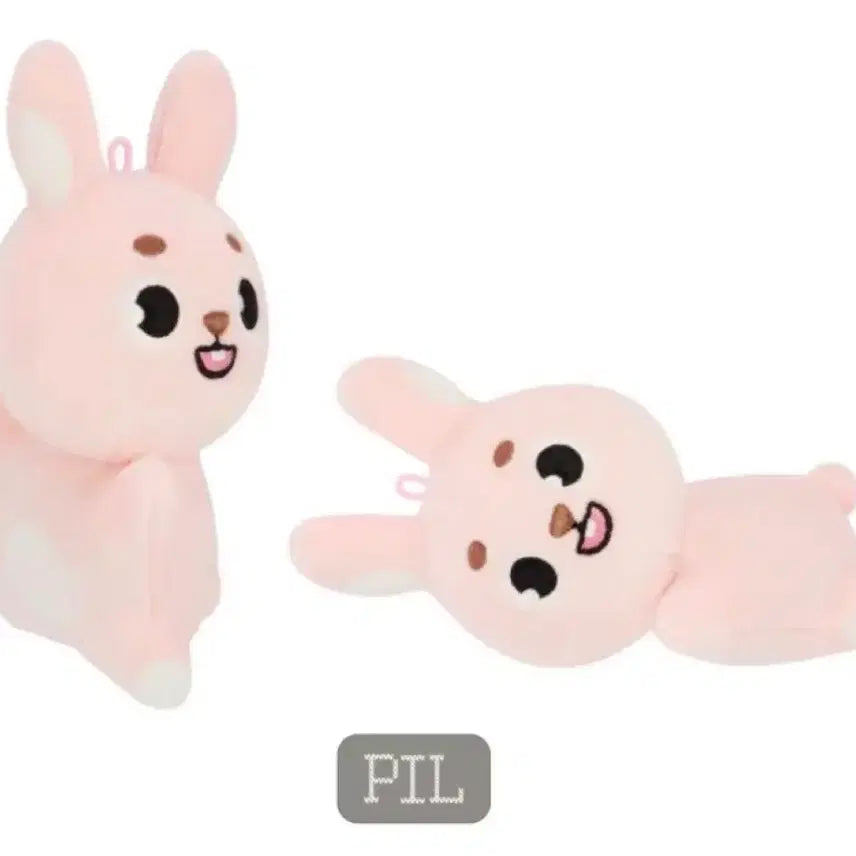 데이식스 데니멀즈 핸드워머 (손난로) 필 원필 원가이하