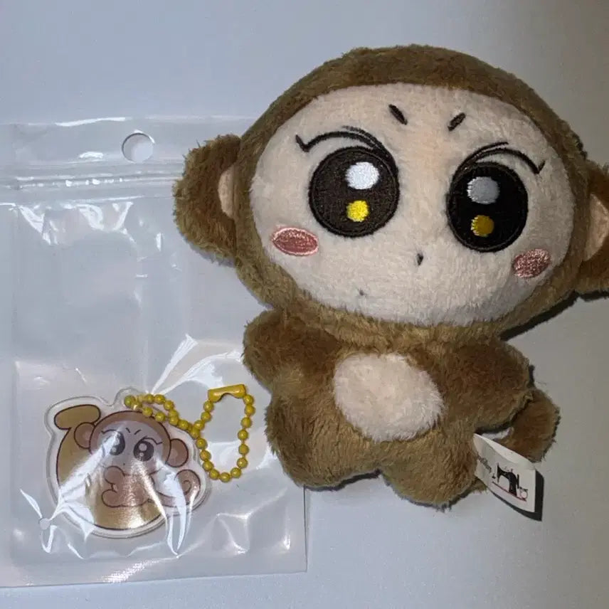 엔하이픈 정원 인형 쩡숭이