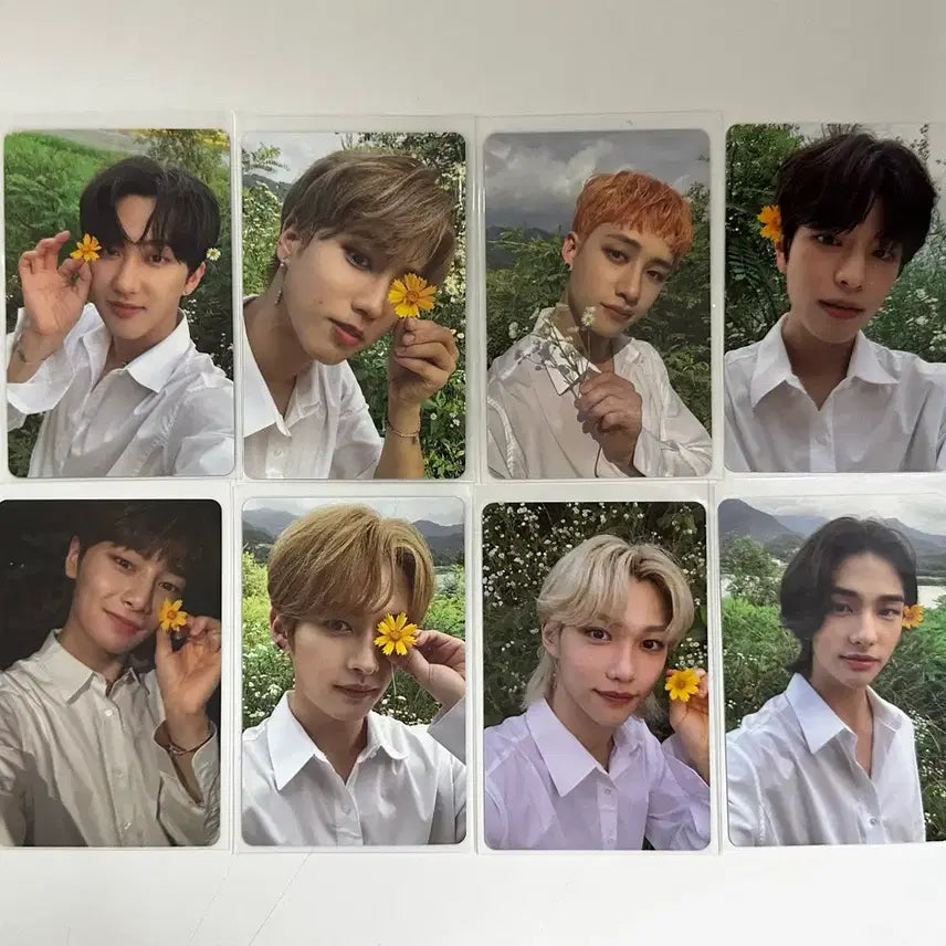 STRAYKIDS 스트레이키즈 노이지 멤버전원 포카 묶음