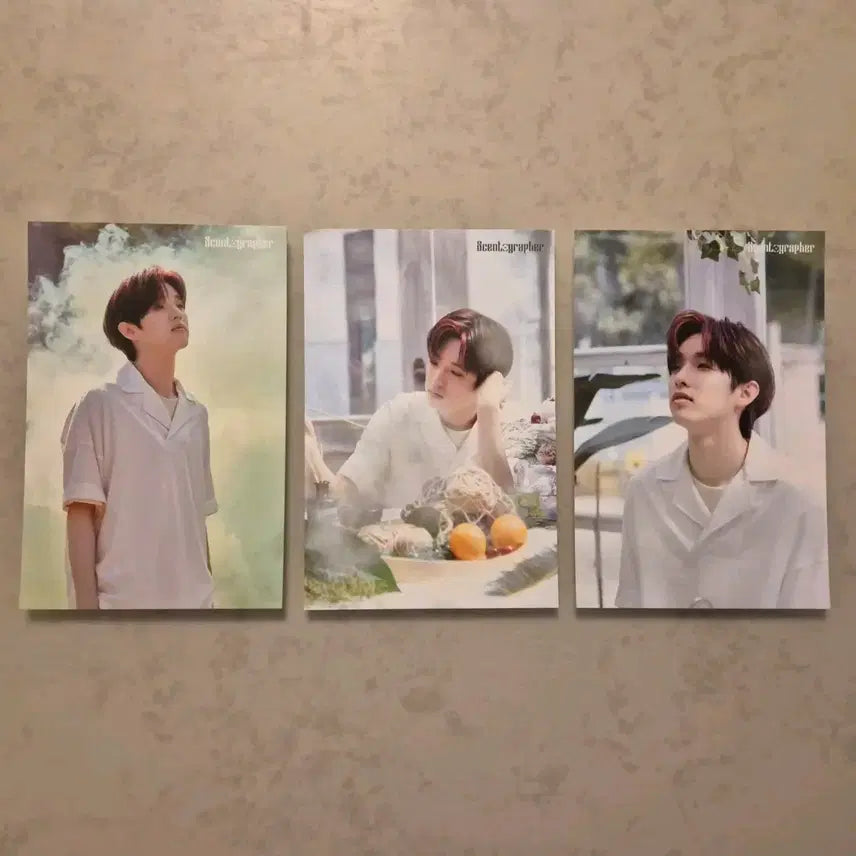 [BUNJANG] 센토그래퍼 제이 엽서 3장 일괄 양도 / 센토그래퍼 제이 엽서 3장 일괄 양도