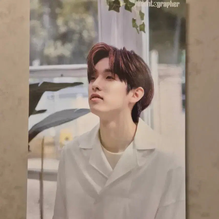 [BUNJANG] 센토그래퍼 제이 엽서 3장 일괄 양도 / 센토그래퍼 제이 엽서 3장 일괄 양도