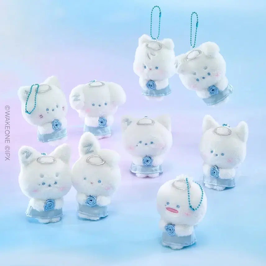 제로니 태니니 엔젤 천사 플러시 인형 키링 양도 판매 제로베이스원 제베원