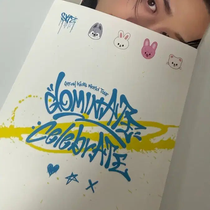 스트레이키즈 스테이존 포카 첫콘 포토카드 스키즈 앙콘