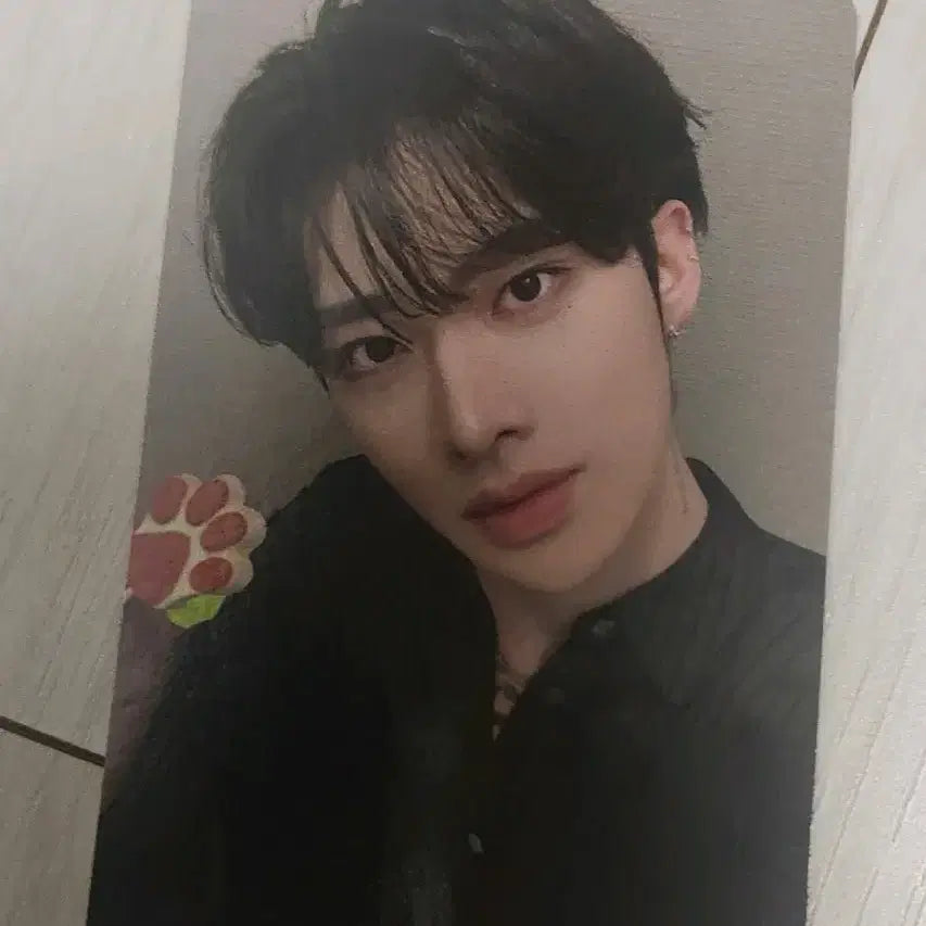 제베원 가요대제전 리키포카 양도