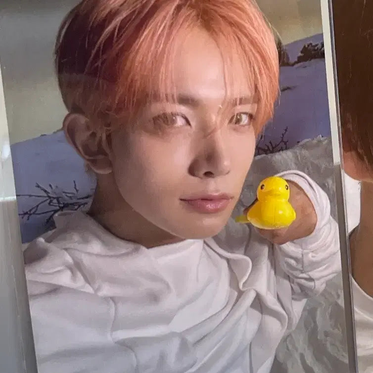 엔하이픈 희승 로맨스 언톨드 데이드림 눈오리