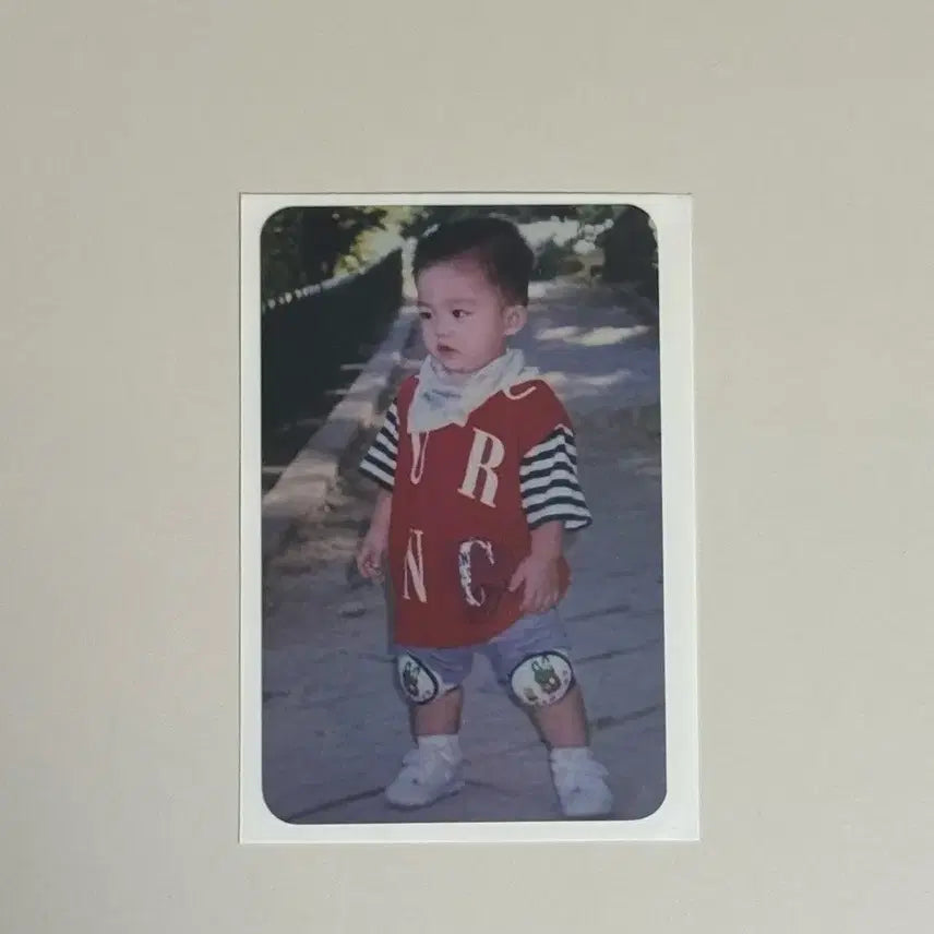 세븐틴svt 에스쿱스 최승철 세미콜론 홈런 특전 아기 애기 포카 양도