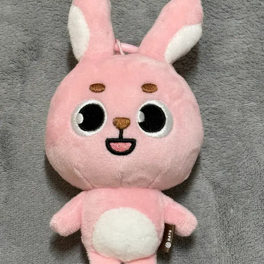 DAY6 데니멀즈 필 필끼 2022