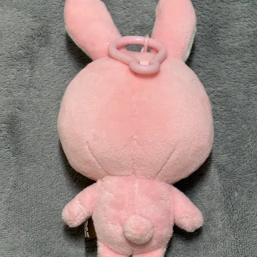 DAY6 데니멀즈 필 필끼 2022