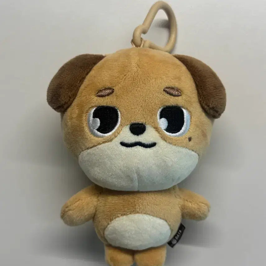 데이식스 데니멀즈 2024ver 돈