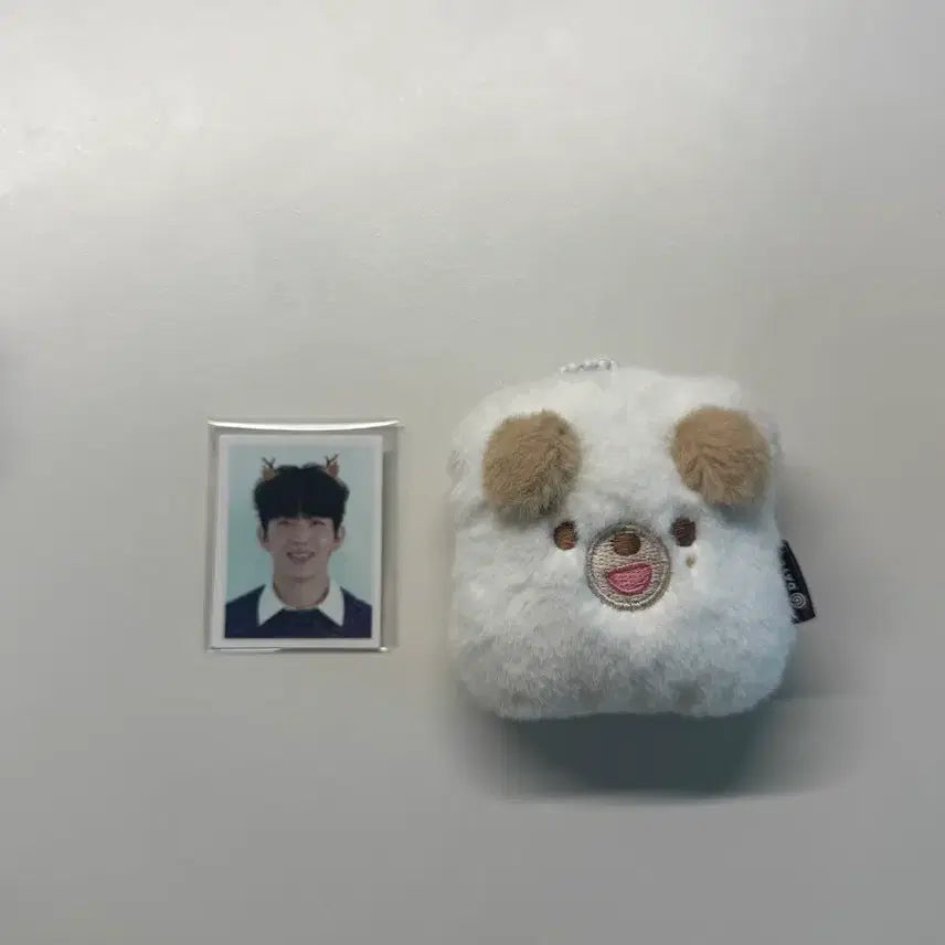 데이식스 쁘띠 데니멀즈 ID 포토홀더 돈