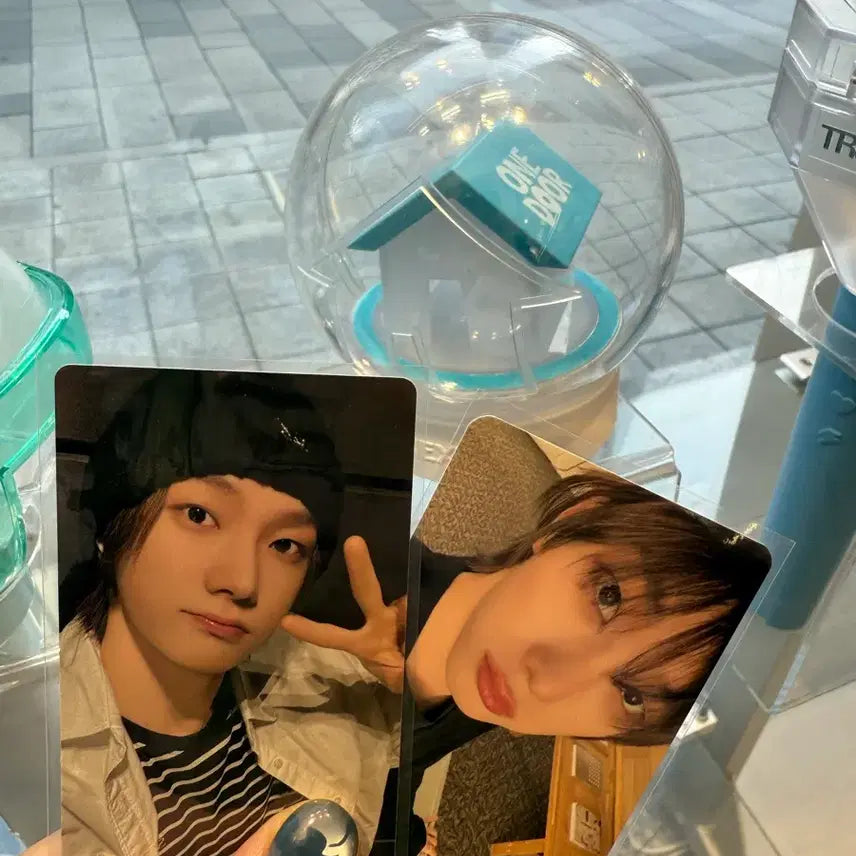 보넥도 노장르 성호 포카