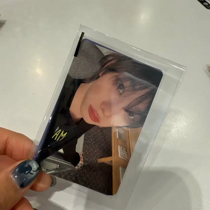 보넥도 노장르 성호 포카